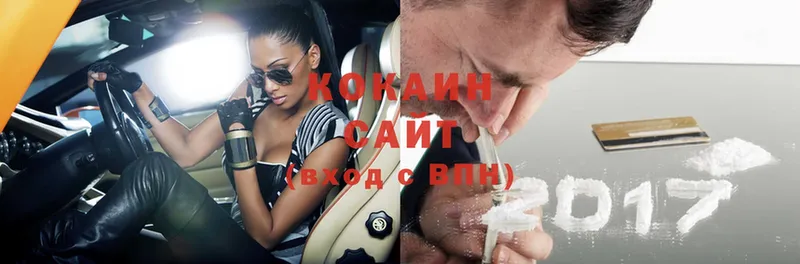 Cocaine Fish Scale  MEGA ссылка  Людиново 